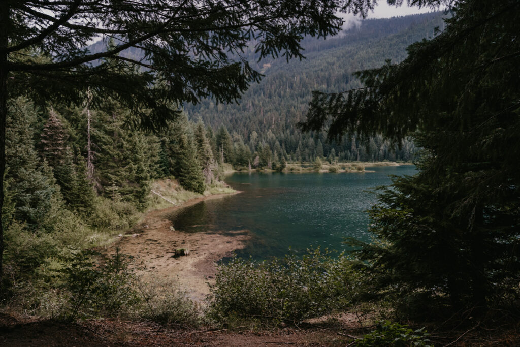 Gold Creek Pond Loop trail in the PNW.